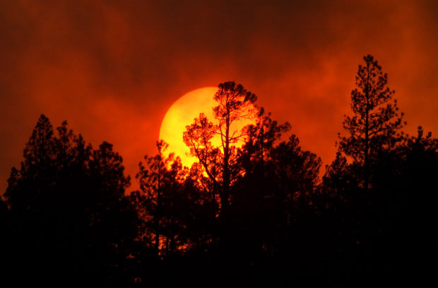 The Rodeo-Chediski Fire in 2002